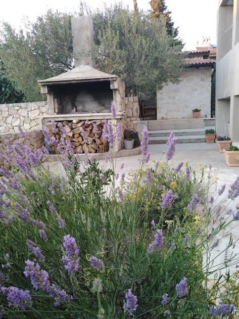 Apartmani Morovi Dvori Drage Εξωτερικό φωτογραφία